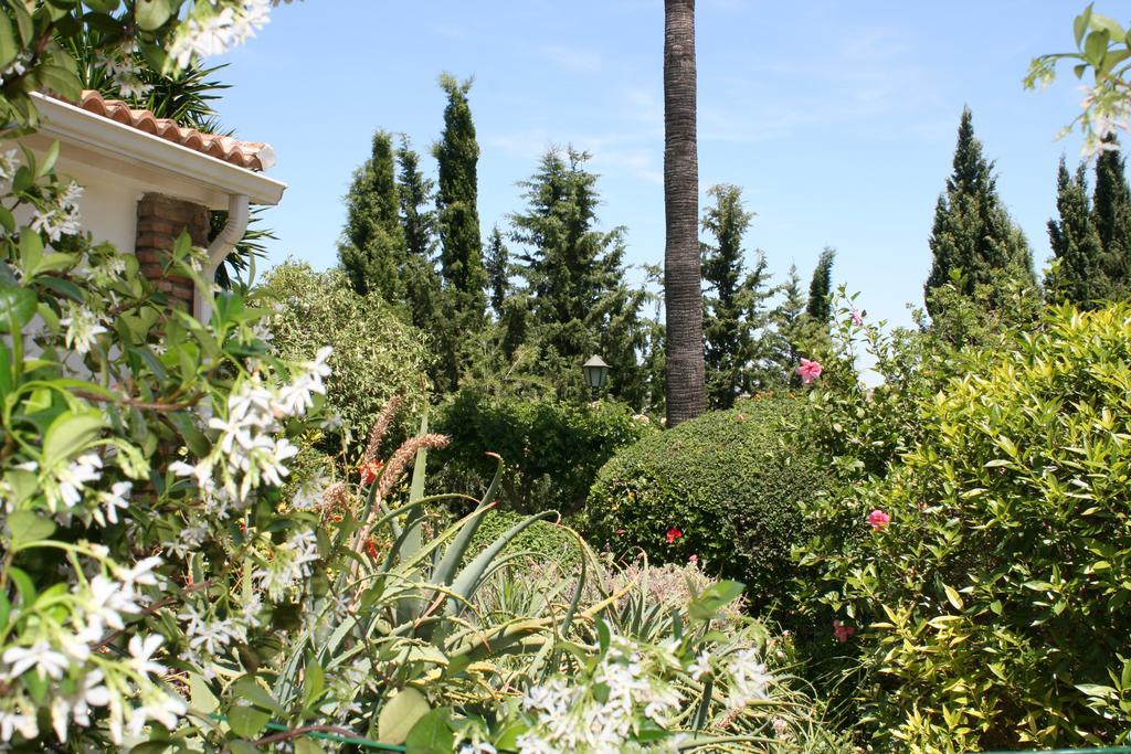 Cortijo Andaluz Bed & Breakfast Alhaurín el Grande Екстериор снимка