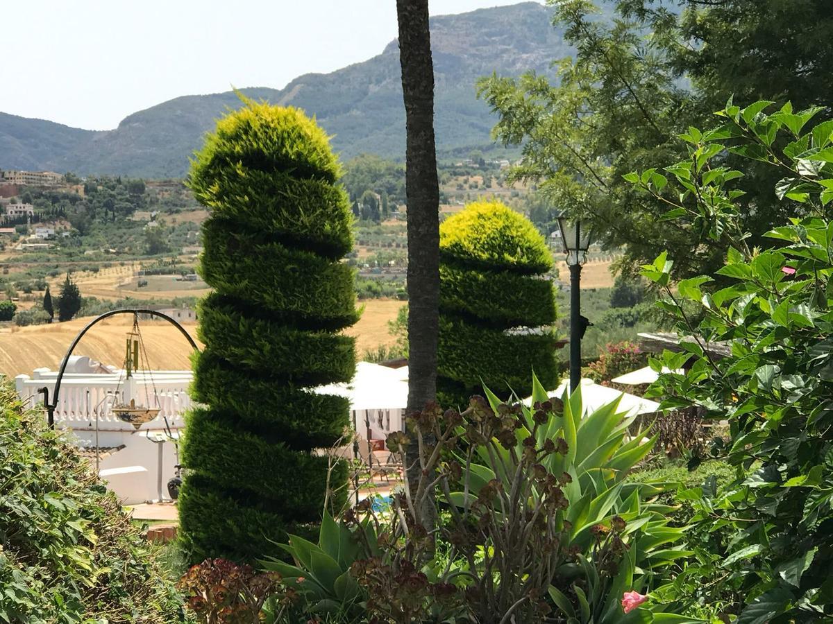 Cortijo Andaluz Bed & Breakfast Alhaurín el Grande Екстериор снимка