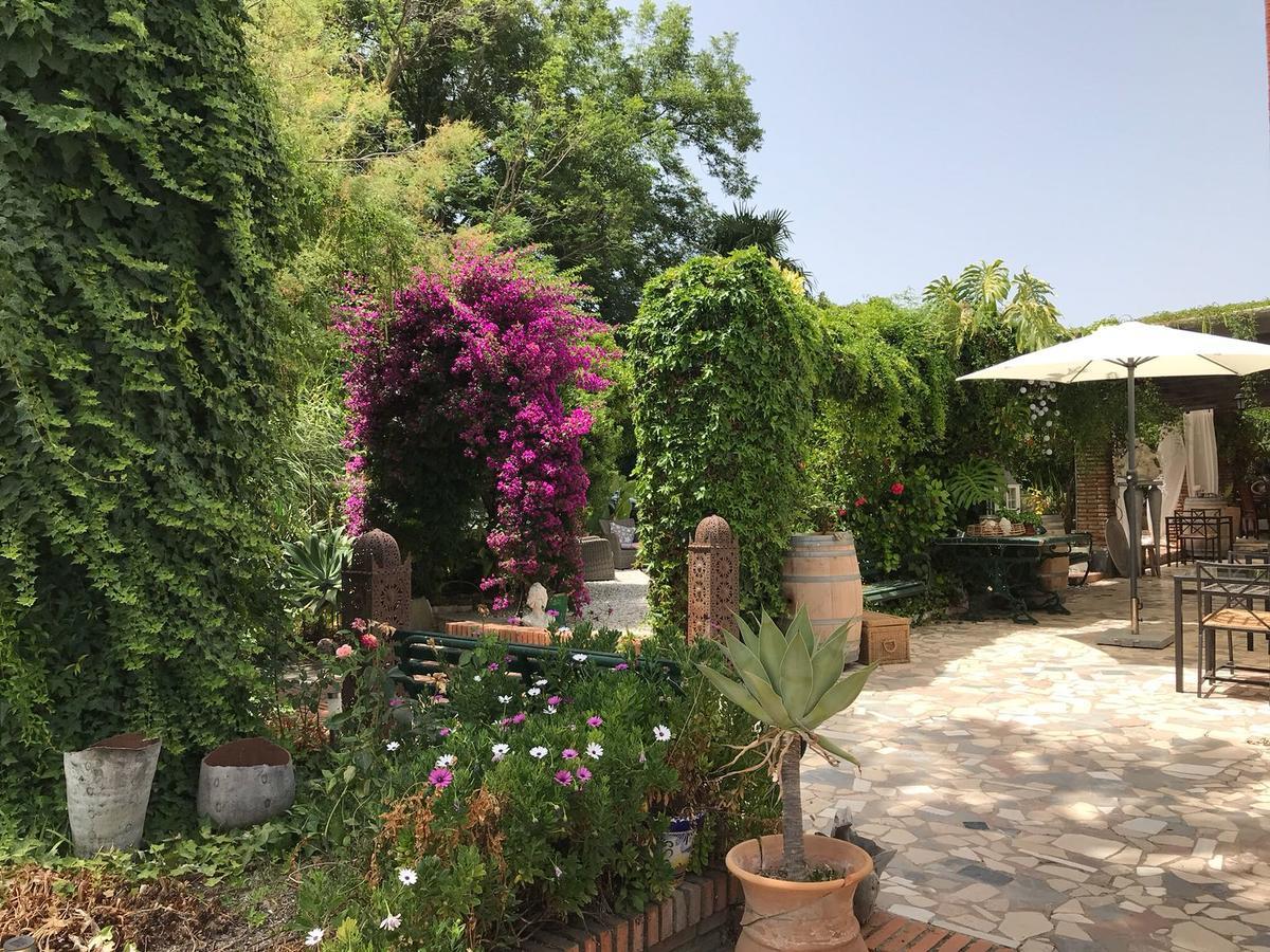 Cortijo Andaluz Bed & Breakfast Alhaurín el Grande Екстериор снимка