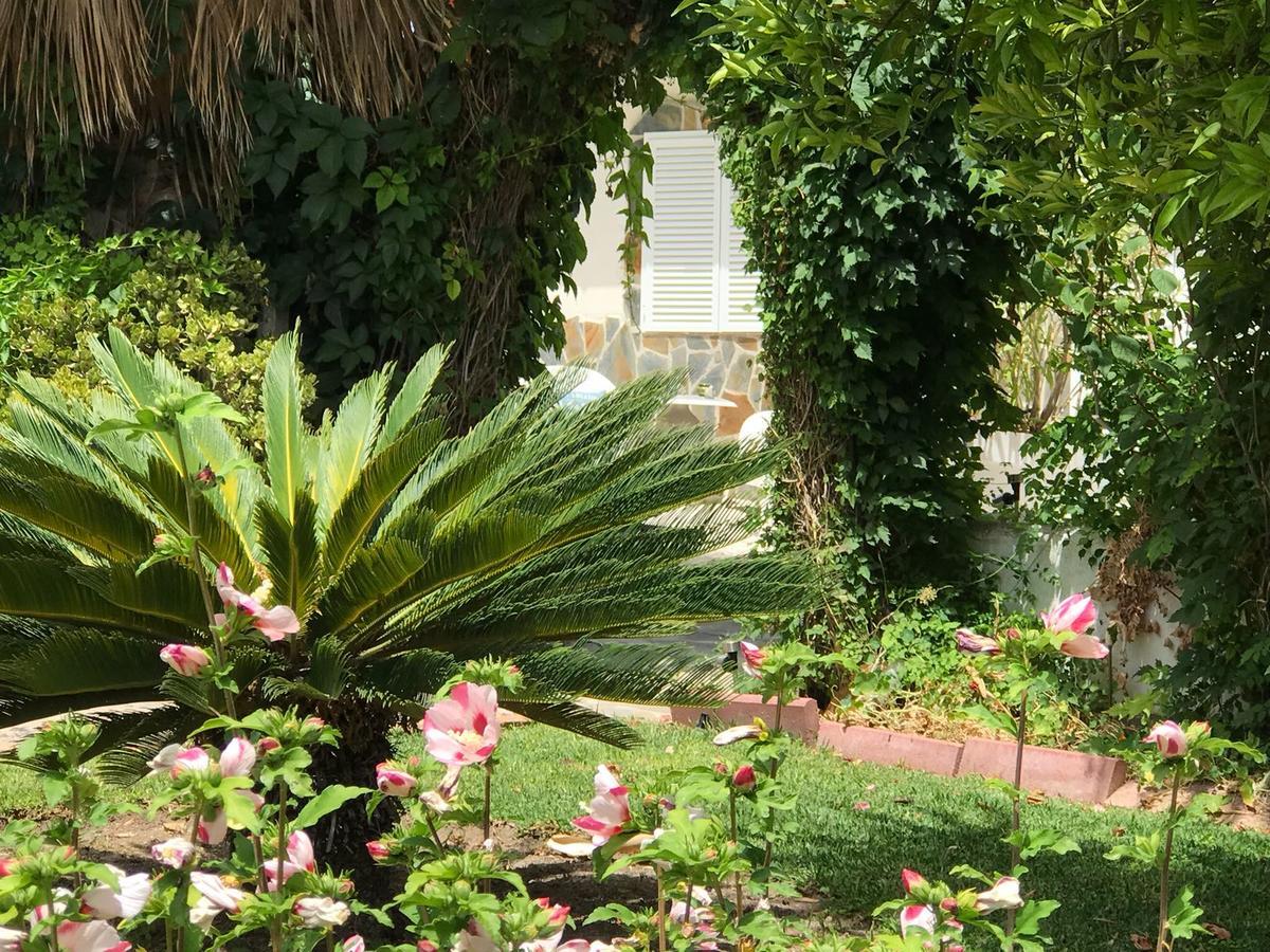 Cortijo Andaluz Bed & Breakfast Alhaurín el Grande Екстериор снимка